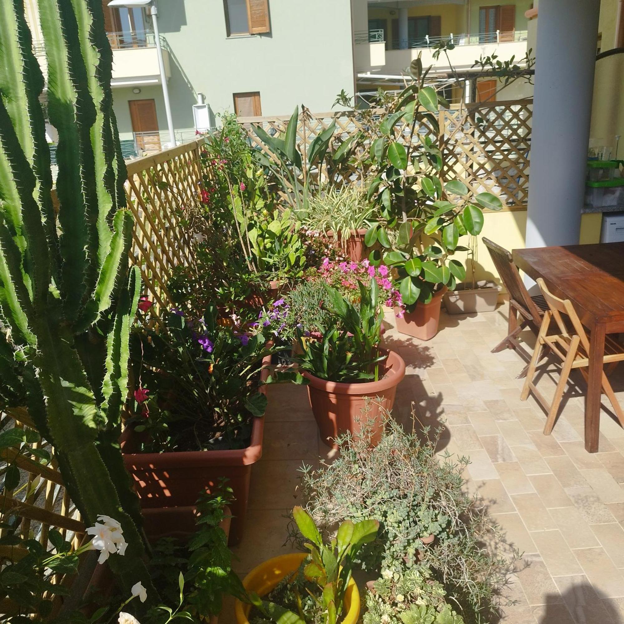 Apartmán Alghero Lovely Flat Exteriér fotografie